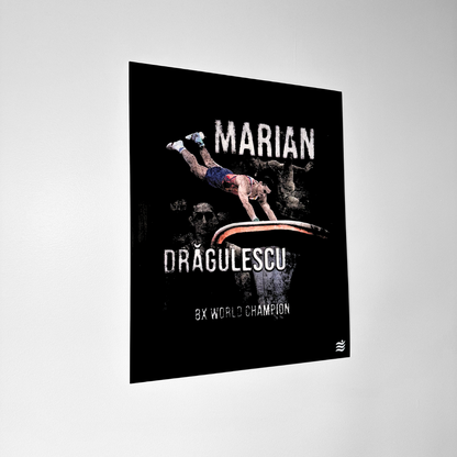 Dragulescu Poster