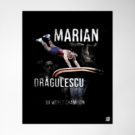 Dragulescu Poster