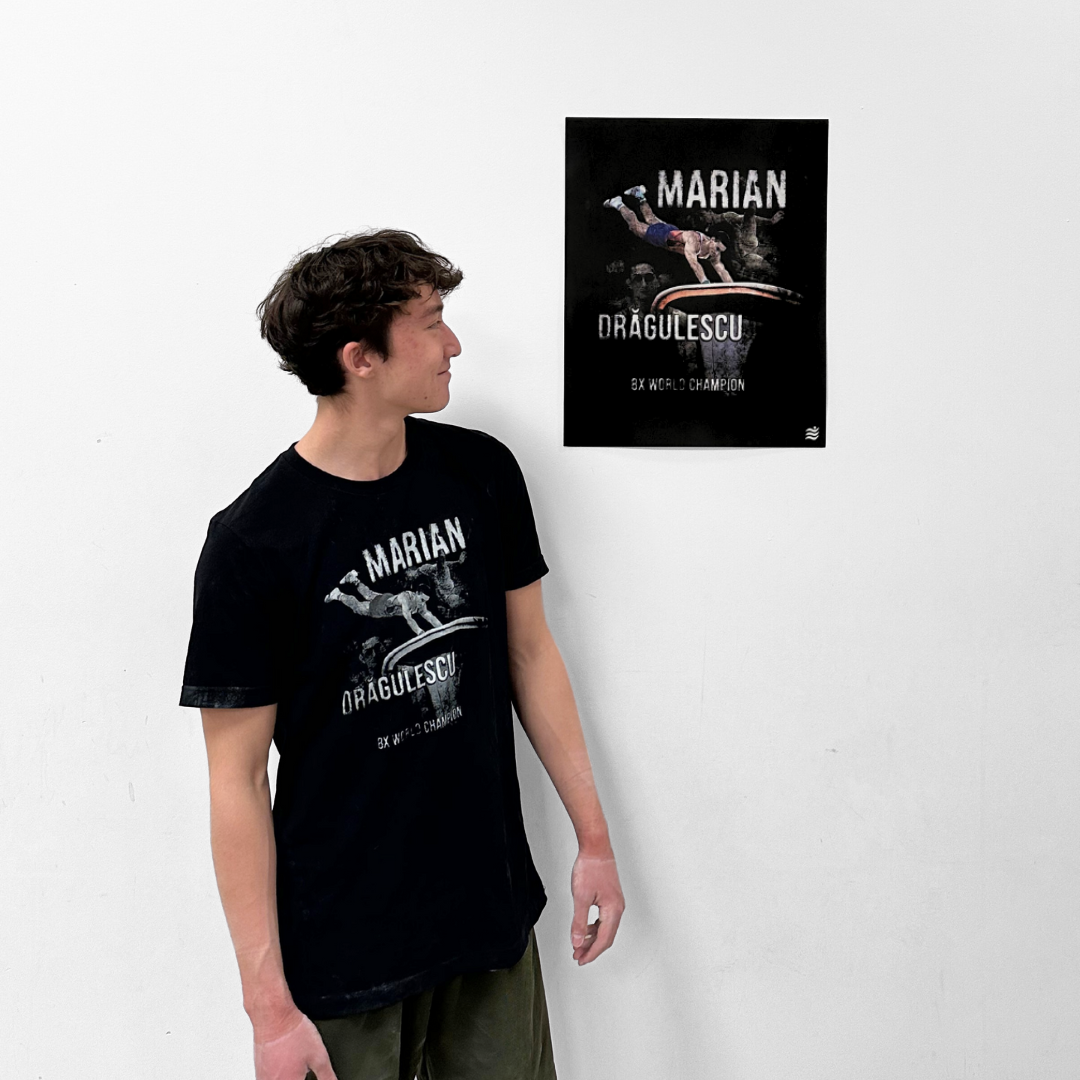 Dragulescu Poster